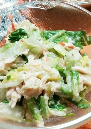 塩レモン揉み白菜とチキンのサラダ-レシピのメイン写真