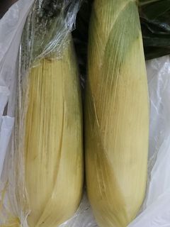 レンジでチン蒸しとうもろこし-レシピのメイン写真