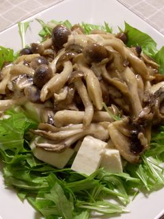 豆腐ときのこのごまだれサラダ-レシピのメイン写真