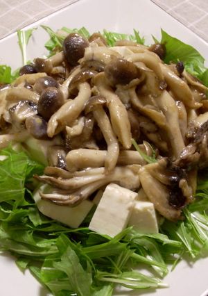 豆腐ときのこのごまだれサラダ-レシピのメイン写真