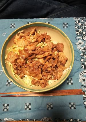 手抜きの簡単豚丼-レシピのメイン写真