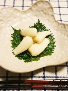 簡単!パリッとした食感『塩らっきょう』-レシピのメイン写真