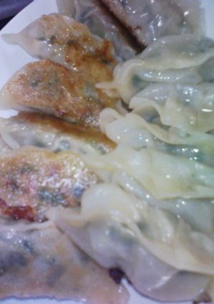 お店の味に近い美味しい餃子-レシピのメイン写真