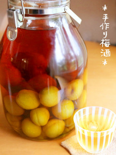 手作り梅酒@冷凍梅で早のみ★ブランデー-レシピのメイン写真