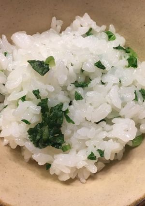 菜めし-レシピのメイン写真