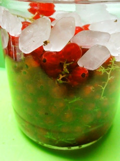 *ゆすらうめ酒*-レシピのメイン写真