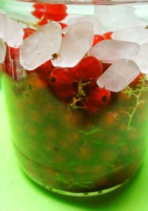 ＊ゆすらうめ酒＊-レシピのメイン写真