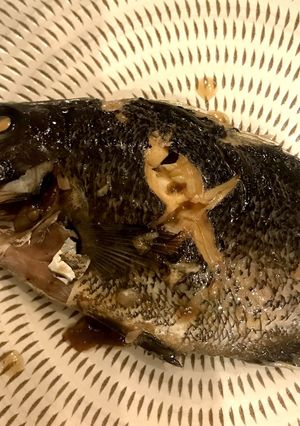 黒鯛の煮付け-レシピのメイン写真