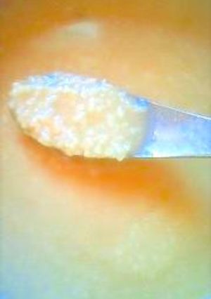 おいしい塩麹の作り方-レシピのメイン写真