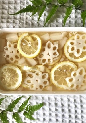 れんこんの蜂蜜レモン漬け-レシピのメイン写真