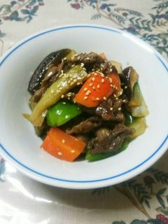 茄子と柔らか牛肉のオイスターソース炒め☆-レシピのメイン写真