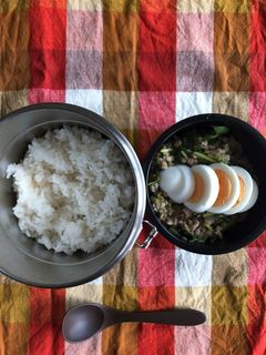 簡単時短でタイの味!ガパオ弁当-レシピのメイン写真
