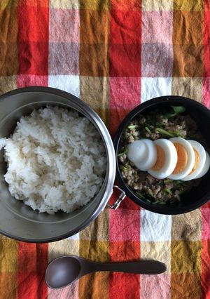 簡単時短でタイの味！ガパオ弁当-レシピのメイン写真