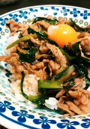 豚バラ・ニラ・玉ねぎ❗スタミナ丼-レシピのメイン写真