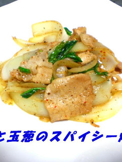 豚肉と玉葱のスパイシー炒め-レシピのメイン写真