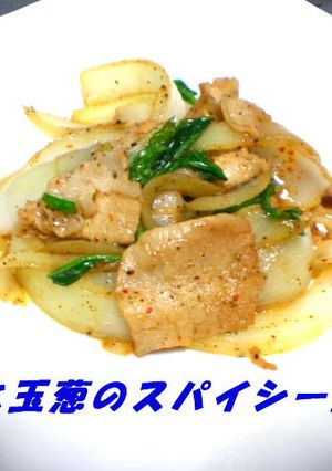 豚肉と玉葱のスパイシー炒め-レシピのメイン写真