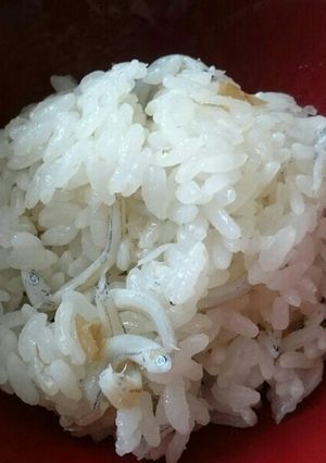 しらすと梅の炊き込みご飯-レシピのメイン写真
