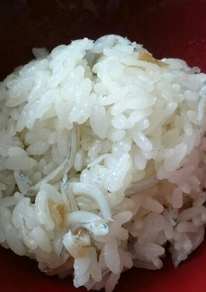 しらすと梅の炊き込みご飯-レシピのメイン写真