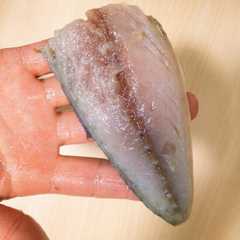 รูปของ 簡単&感動☆魚の保存