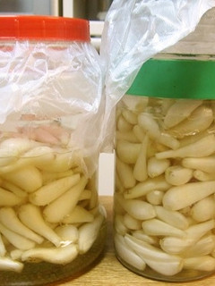 ラッキョウの甘酢漬-レシピのメイン写真