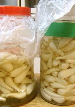 ラッキョウの甘酢漬-レシピのメイン写真