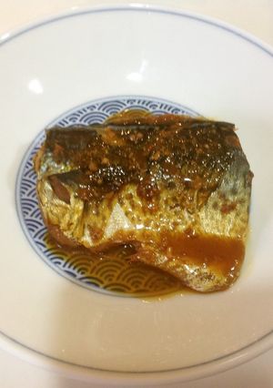 サバの味噌煮-レシピのメイン写真