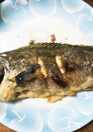いさきの塩焼き-レシピのメイン写真