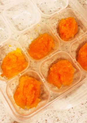 離乳食初期☆炊飯器で人参ペースト-レシピのメイン写真
