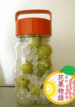 【京の花果物語】青谷の梅シロップ-レシピのメイン写真