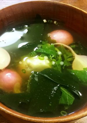 ラディッシュ、里芋、若布のお味噌汁-レシピのメイン写真