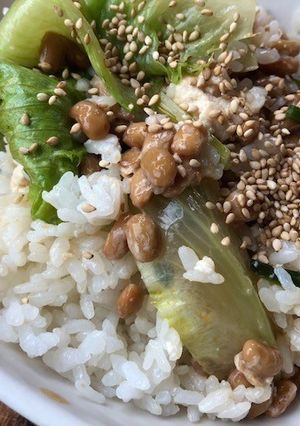 納豆とマーボーレタスのご飯-レシピのメイン写真