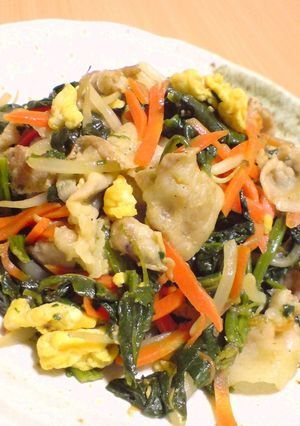 豚肉とほうれん草の肉野菜炒め-レシピのメイン写真