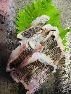 イサキの炙り-レシピのメイン写真