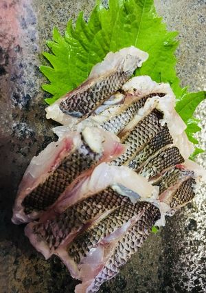 イサキの炙り-レシピのメイン写真