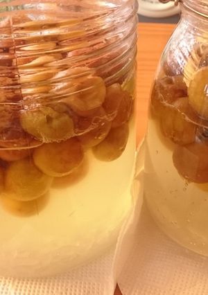 梅シロップ-レシピのメイン写真