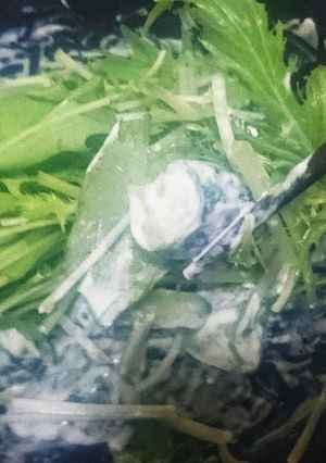 ワサマヨ胡瓜-レシピのメイン写真