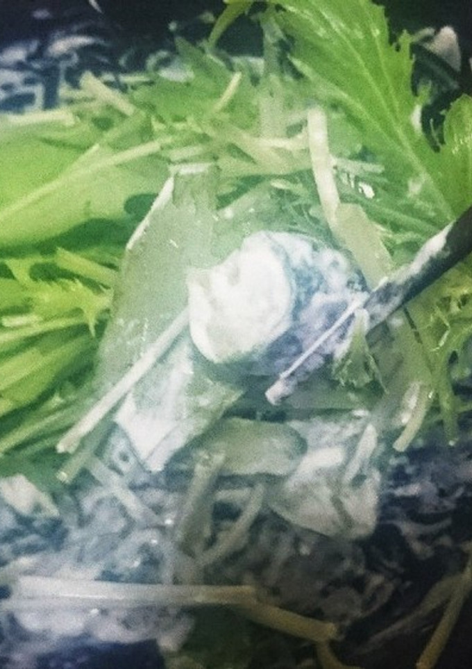 ワサマヨ胡瓜-レシピのメイン写真