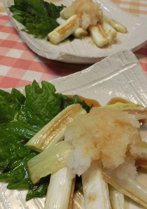 焼きネギのさっぱりポン酢おろし-レシピのメイン写真