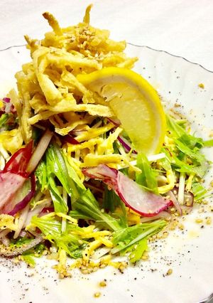 水菜と玉ねぎのサラダ〜カリカリ油揚げ乗せ-レシピのメイン写真