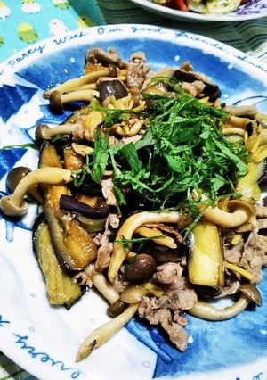 豚肉となすのポン酢炒め-レシピのメイン写真