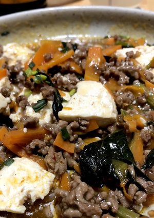 具だくさん麻婆豆腐-レシピのメイン写真