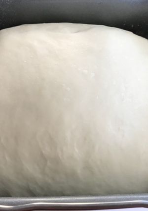 オールマイティな基本のパン生地♡-レシピのメイン写真