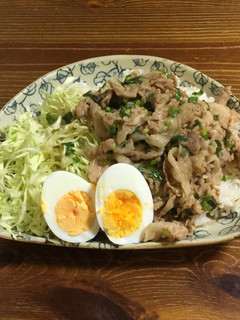 雑な男料理:ネギ&ニラたれの豚肉丼!!-レシピのメイン写真