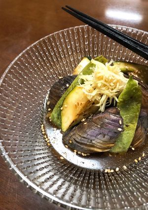 茄子と夏野菜の煮びたし-レシピのメイン写真