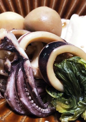 冷めても美味しい！スルメイカと里芋の煮物-レシピのメイン写真