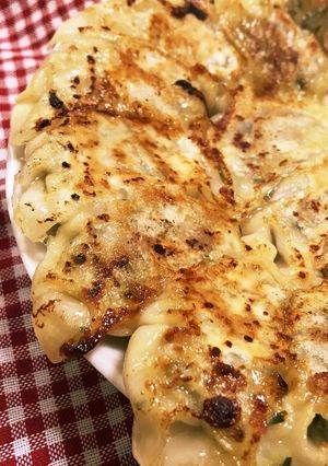 キャベツたっぷり餃子-レシピのメイン写真