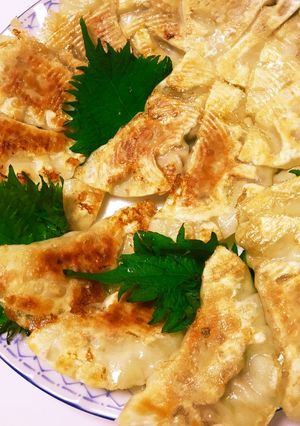 鯖缶と豆腐でヘルシー餃子-レシピのメイン写真