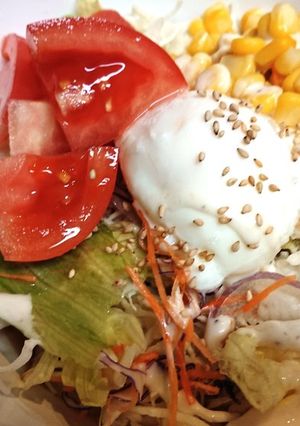 超時短！暑い夏に！簡単 サラダうどん☆-レシピのメイン写真