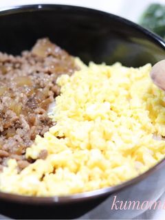 甘辛味がたまらない♪基本のそぼろ丼-レシピのメイン写真