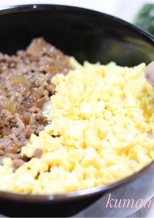 甘辛味がたまらない♪基本のそぼろ丼-レシピのメイン写真